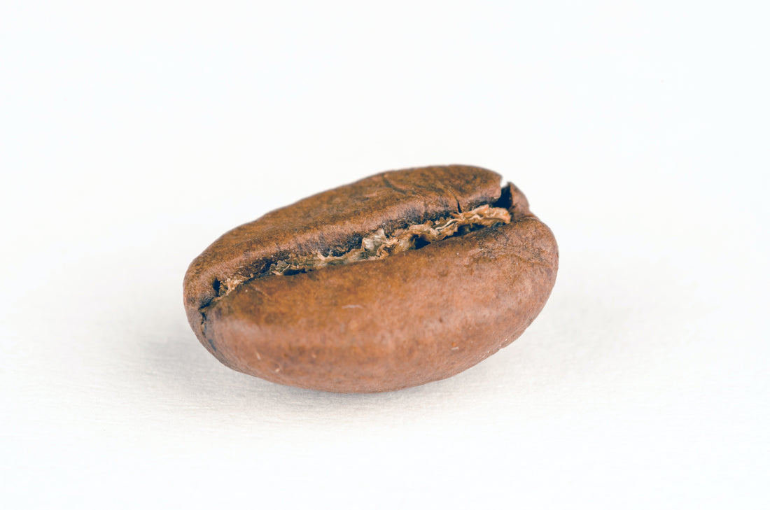 Granos de café Maktub