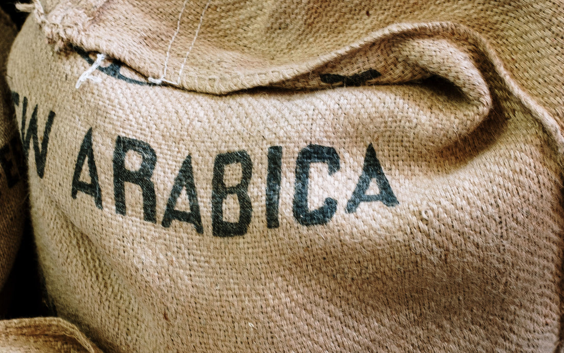 Arábica y Robusta: ¿Qué tipo de café prefieres?